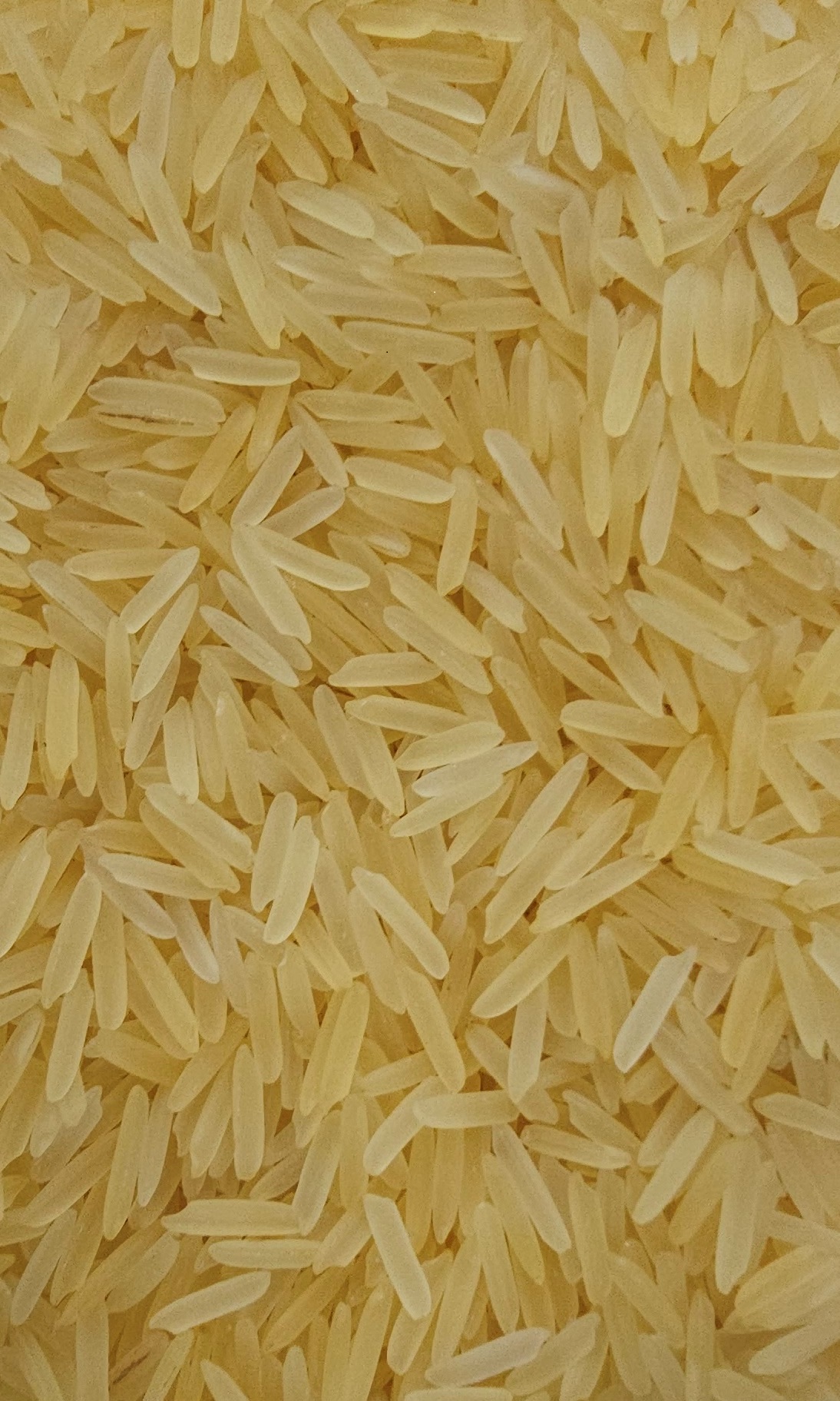 1121 Pesticides Residue Free Golden Sella Rice